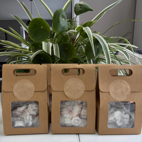 Botanical Wax Melts – Serenity • Wild Meadow • Forest Dream | Aromatherapy 